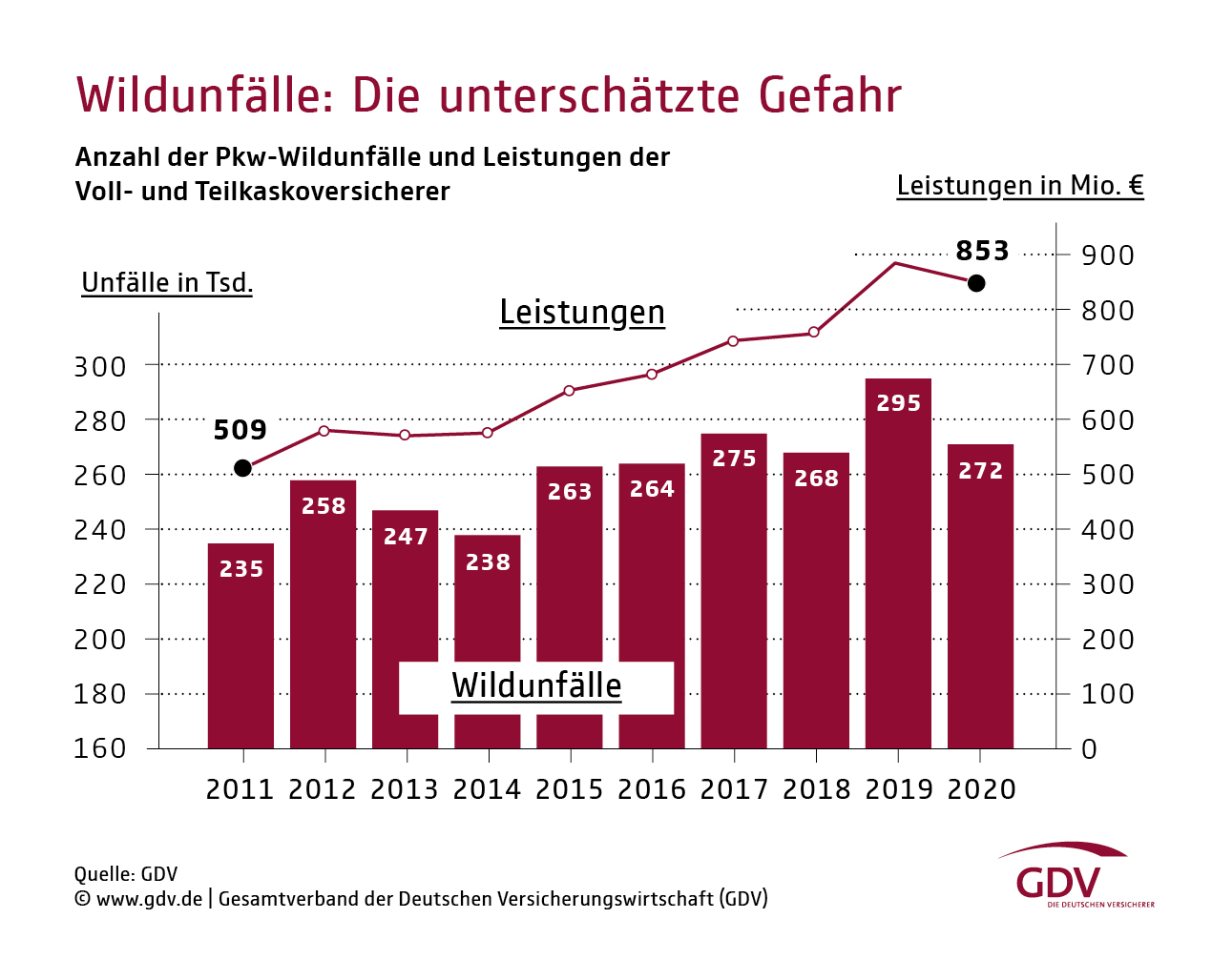 Wildunfälle: Die unterschätzte Gefahr