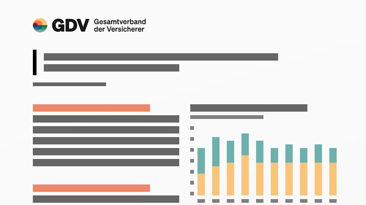 Insurance Flash (© GDV)