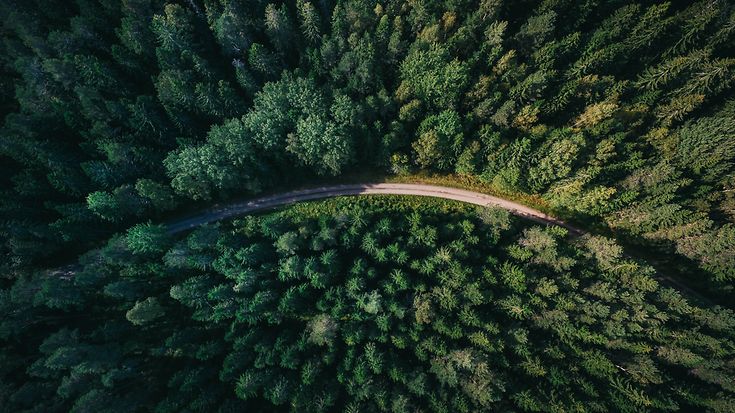 © Unsplash/Geran de Klerk © Unsplash/Geran de Klerk