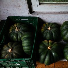 © Florian W. Müller / fotogloria