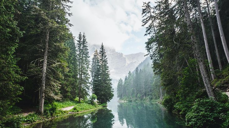 © Unsplash/Luca Bravo © Unsplash/Luca Bravo