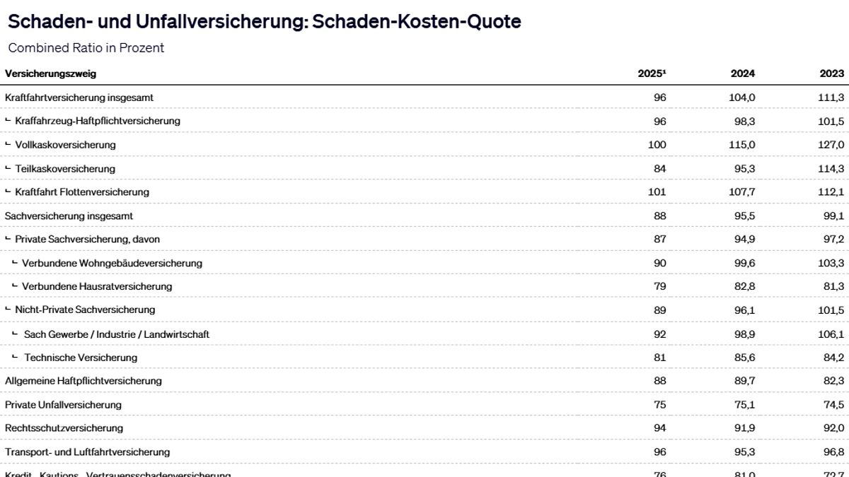 Schaden Kosten Quote