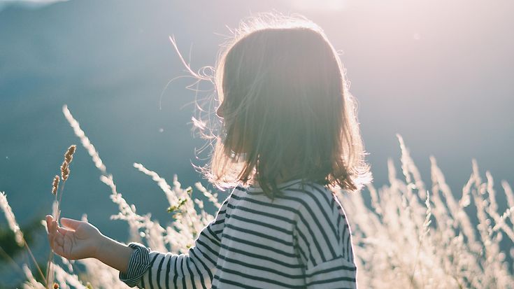 © Unsplash / Caroline Hernandez © Unsplash / Caroline Hernandez