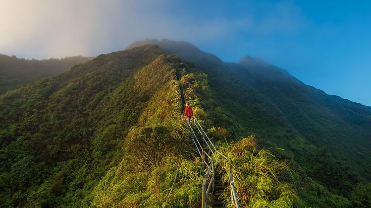 © Unsplash / Kalen Emsley © Unsplash / Kalen Emsley