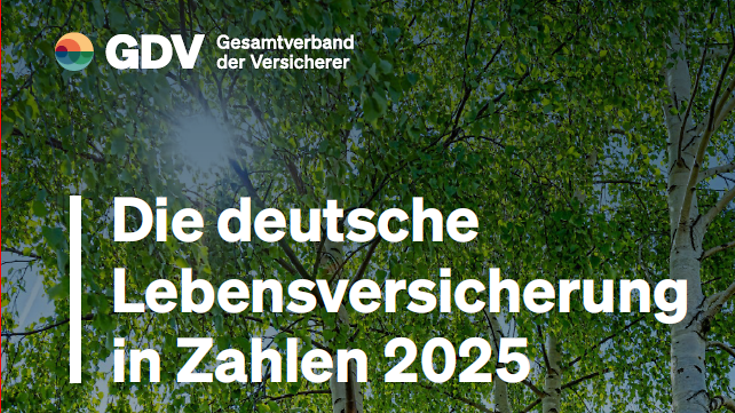 Die deutsche Lebensversicherung in Zahlen 2025 (© Adobe Stock / Armin Staudt)