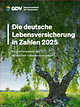Die deutsche Lebensversicherung in Zahlen 2025 (© Adobe Stock / Armin Staudt)