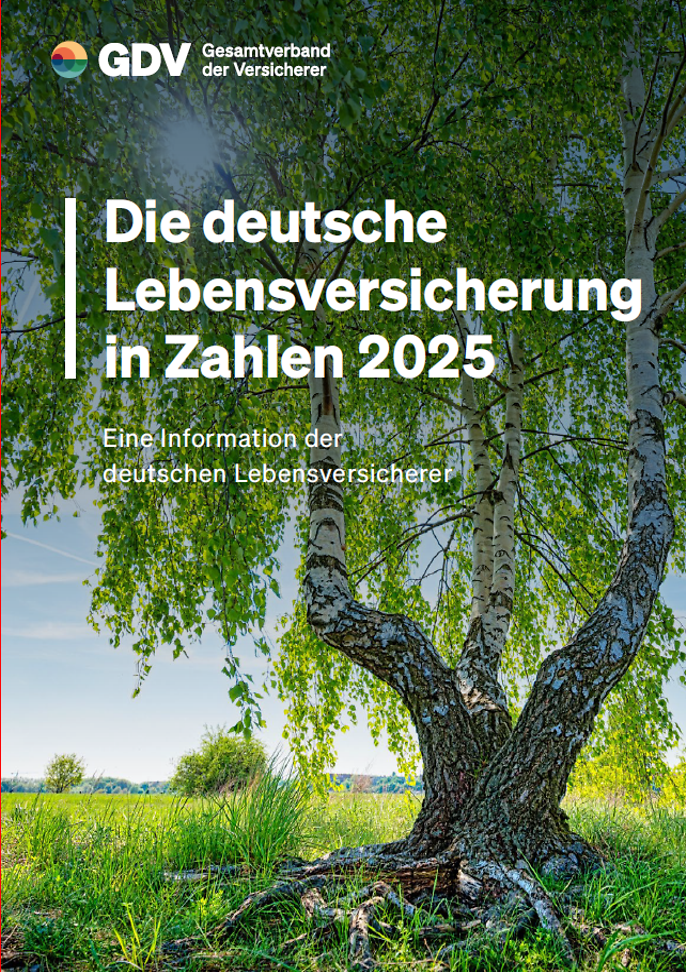 Die deutsche Lebensversicherung in Zahlen 2025 (© Adobe Stock / Armin Staudt)