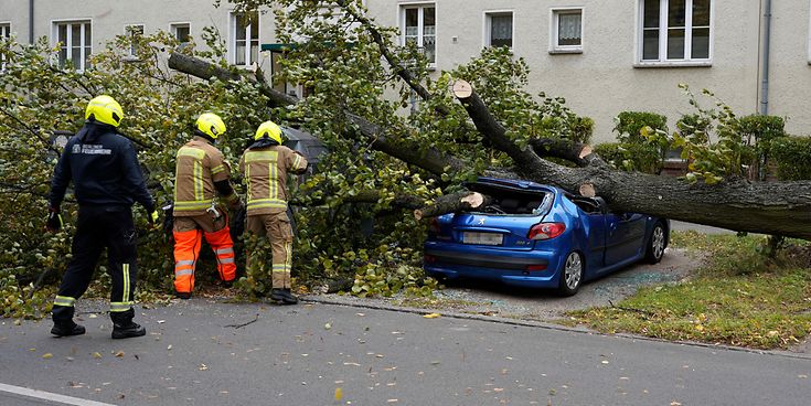 © picture alliance / Geisler-Fotopress / Thomas Bartilla