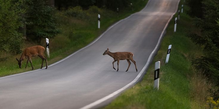 © Teka77 / Getty Images