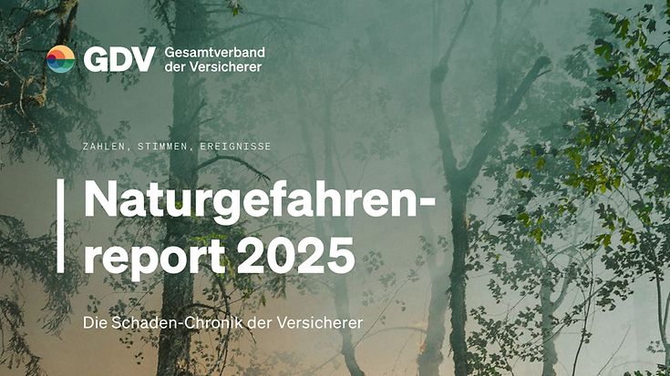 Naturgefahrenreport 2025 (© unsplash / Karsten Winegeart)