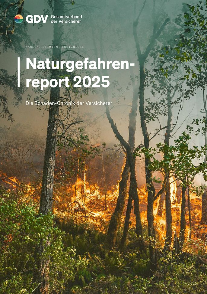 Naturgefahrenreport 2025 (© unsplash / Karsten Winegeart)