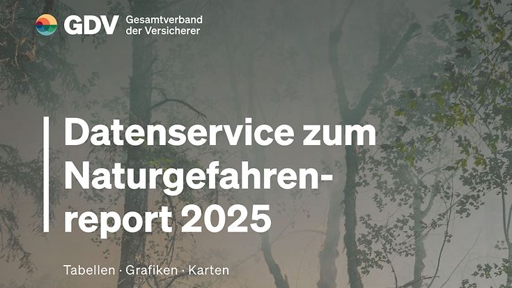Naturgefahrenreport 2025 Datenservice (© unsplash / Karsten Winegeart)