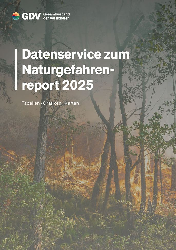 Naturgefahrenreport 2025 Datenservice (© unsplash / Karsten Winegeart)