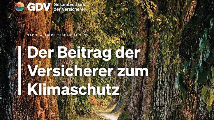 GDV-Nachhaltigkeitsbericht 2025 (© unsplash / Mario Dobelmann)