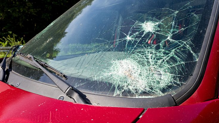 © Bjoern Wylezich / Getty Images