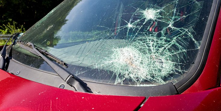 © Bjoern Wylezich / Getty Images