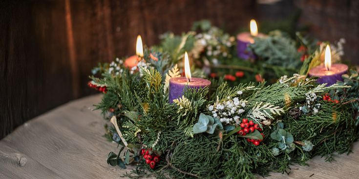 © GettyImages-1756603856__Carolina-BR