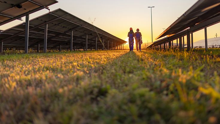 © Dusan Stankovic / Getty Images