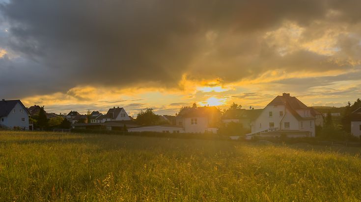 © Animaflora / Getty Images