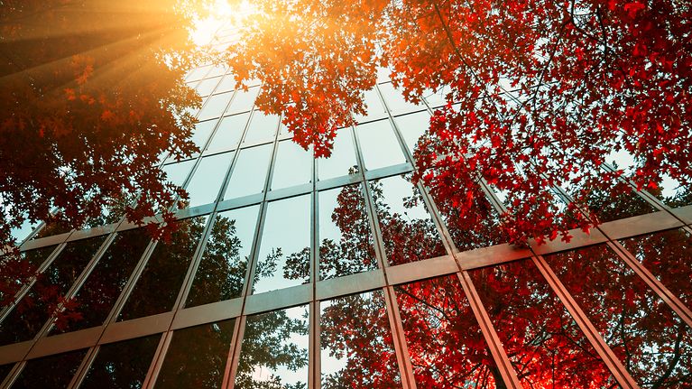 © gettyimages / chinaface