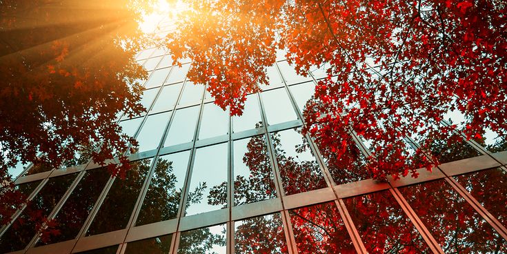 © gettyimages / chinaface