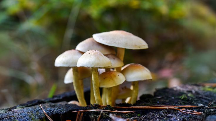 © gettyimages /Kamila Kozioł