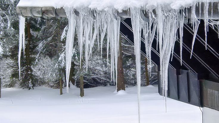 © djenev / Getty Images