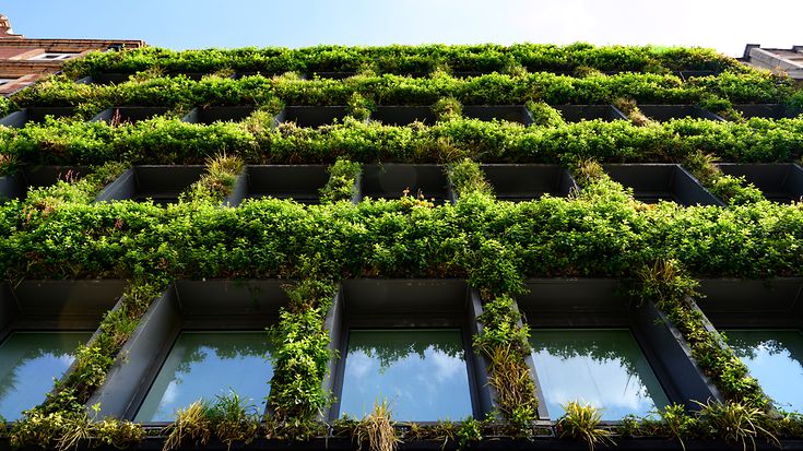 © JohnnyGreig / Getty Images