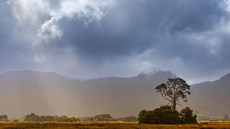 EU-Kommission arbeitet an Rahmen für Klimaresilienz (© Ernest Kung / Getty Images)