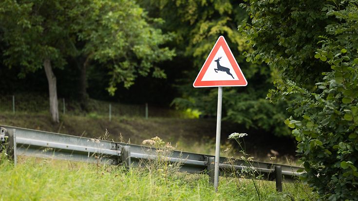 © Berk Ucak / Getty Images