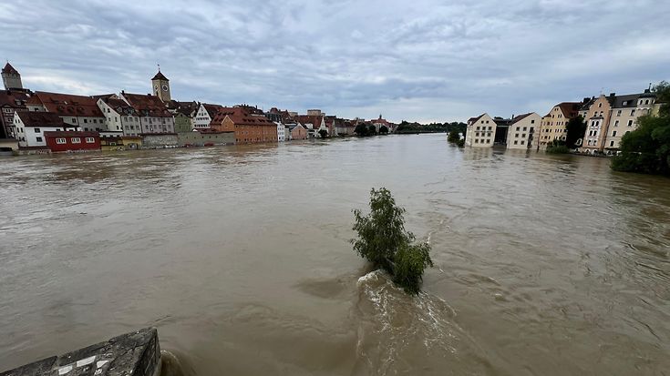 © gettyimages / Christina Bodendorfer