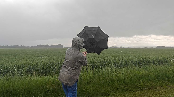 © GDV / Scheper-Stuke