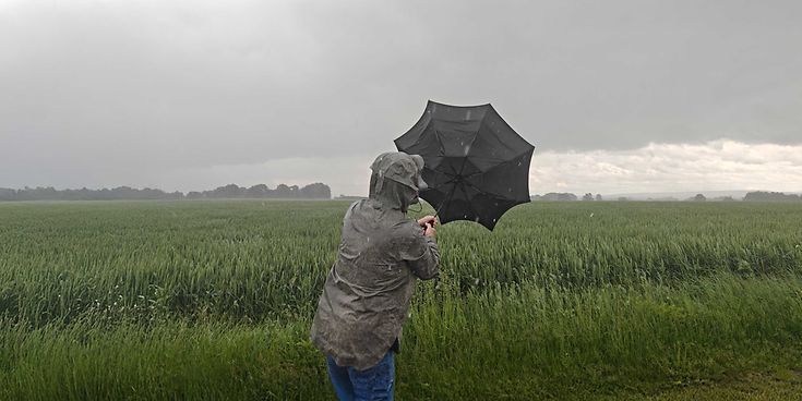 © GDV / Scheper-Stuke