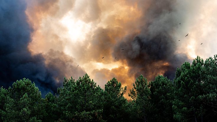 © picture alliance / Hans Lucas / Gauthier Bedrignans