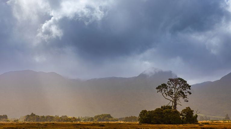 European Commission developing a Framework for Climate Resilience (© Ernest Kung / Getty Images)