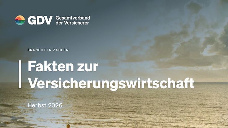Fakten zur Versicherungswirtschaft (© Unsplash / Felipe Dias)