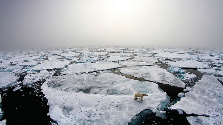 © Picture-Alliance / dpa / Norwegian Polar Institute