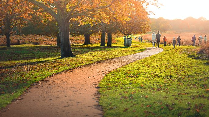 Life insurance (© unsplash)