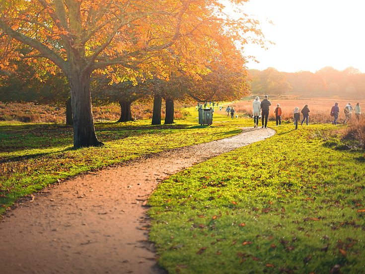 Life insurance (© unsplash)