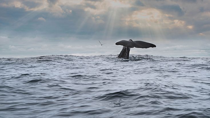 © unsplash © unsplash